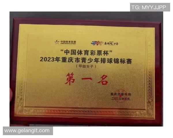 重庆排球队荣登全国排球比赛经验排行榜首位的背后故事与启示