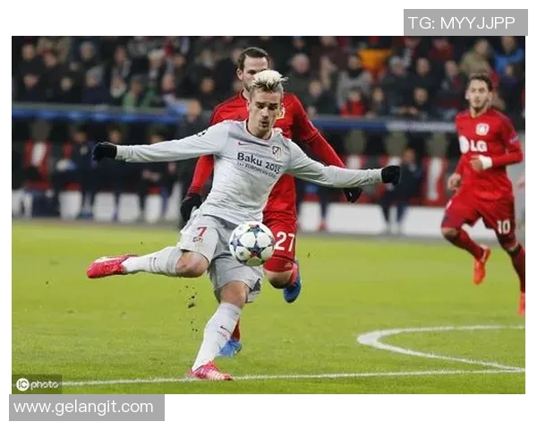 鹰与足球明星的象征意义探讨及其代表国家分析